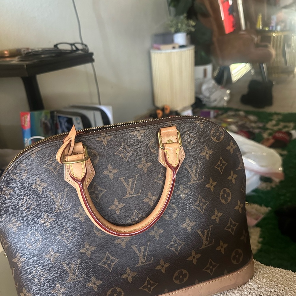 Louis Vuitton Classic Brown Mini Bag